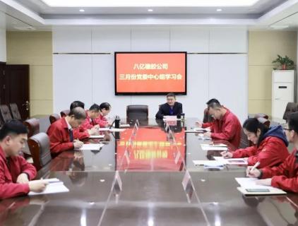 八亿橡胶公司召开三月份党委中心组学习会